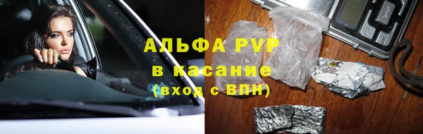 крисы Гусев