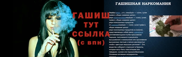 крисы Гусев