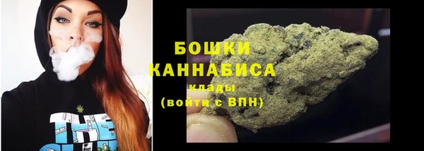 крисы Гусев
