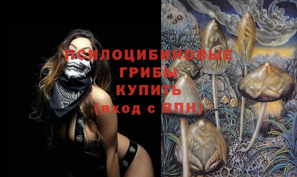 крисы Гусев