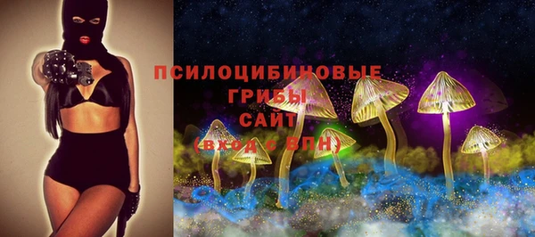 ALPHA-PVP Гусь-Хрустальный