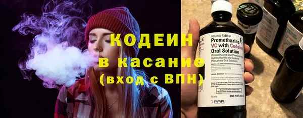 твердый Дмитровск